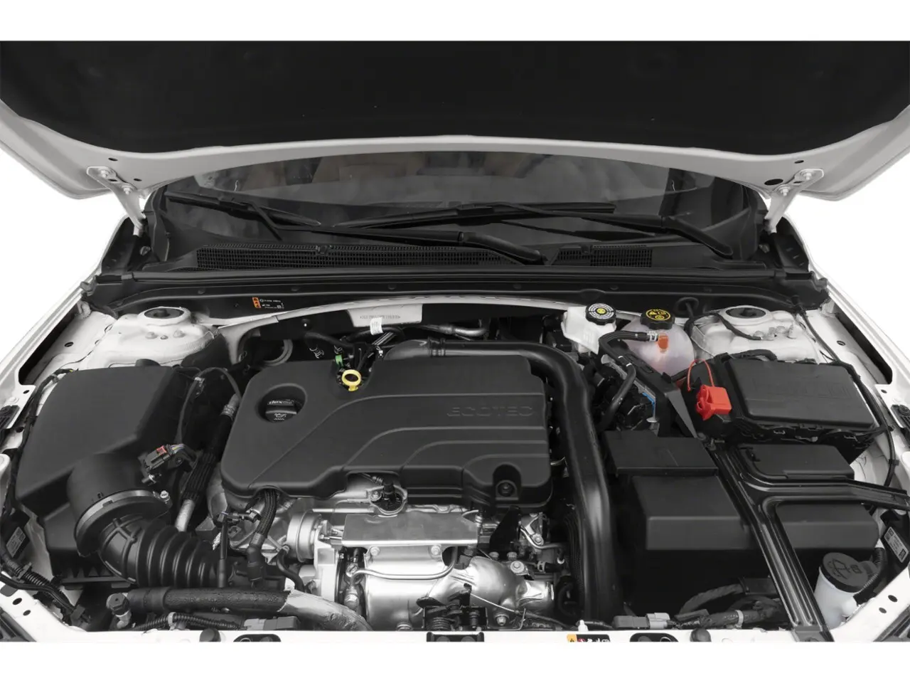 image-16