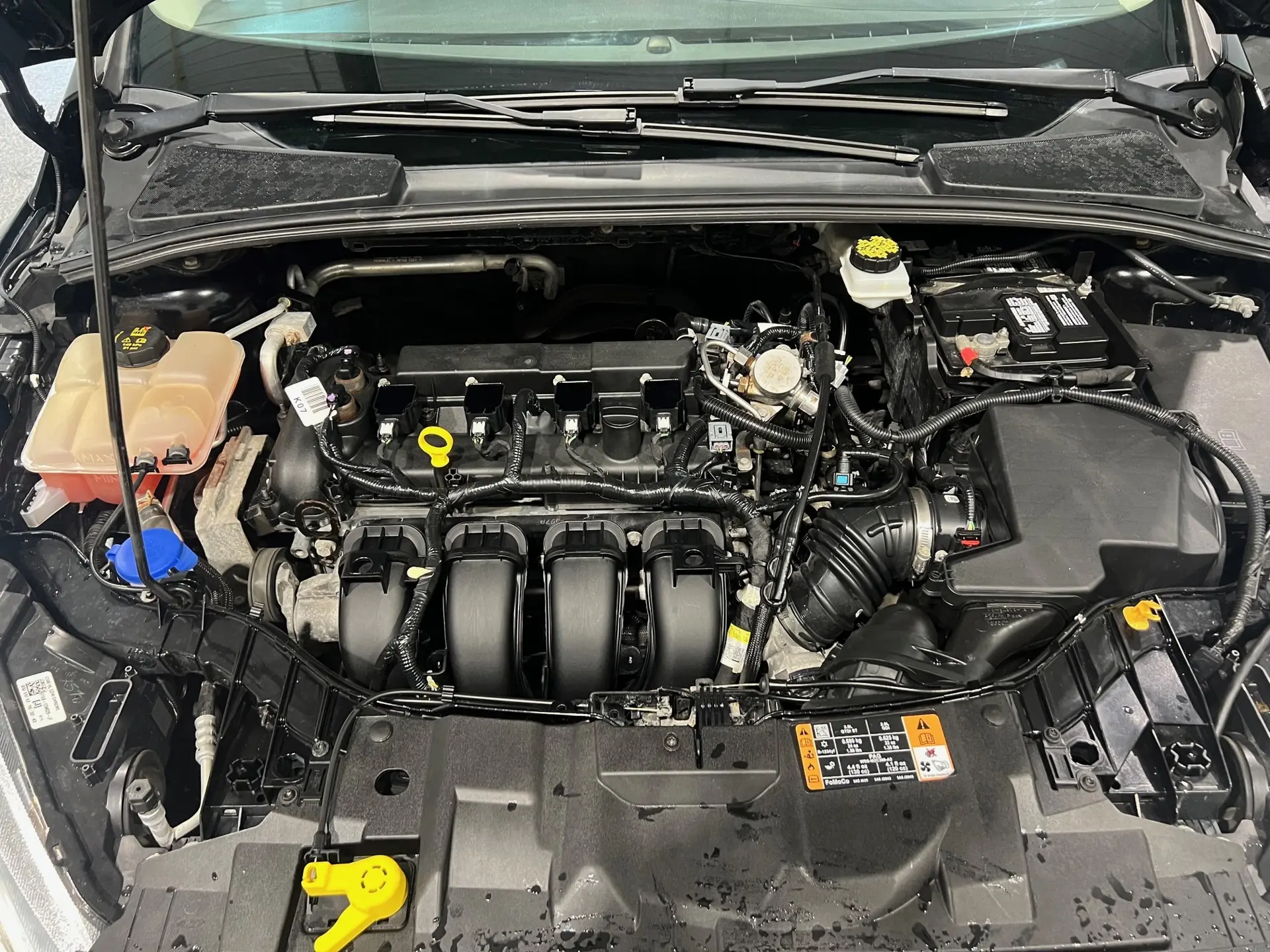 image-19