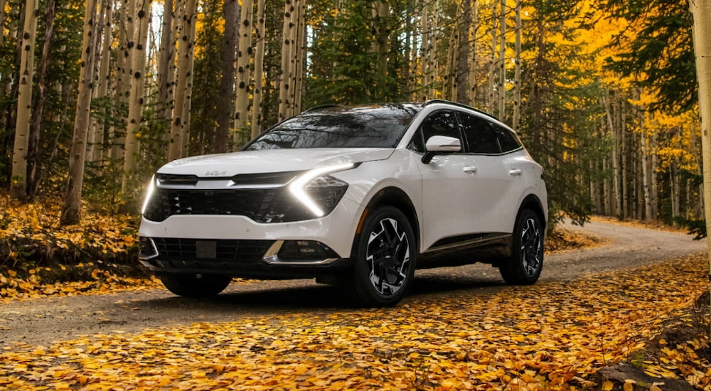 White 2024 Kia Sportage parked on a leaf covered road