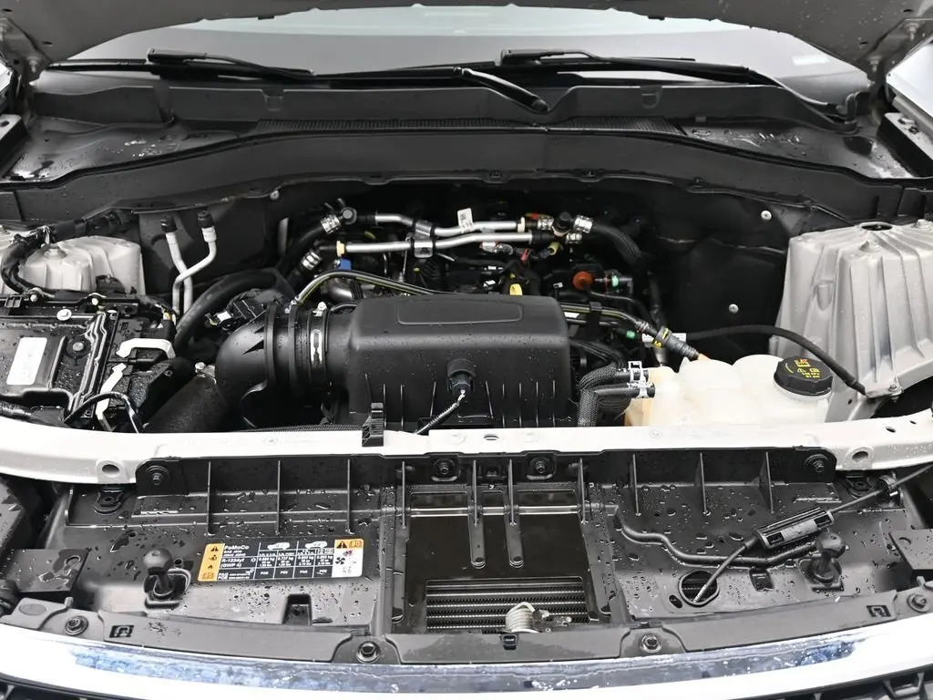 image-19