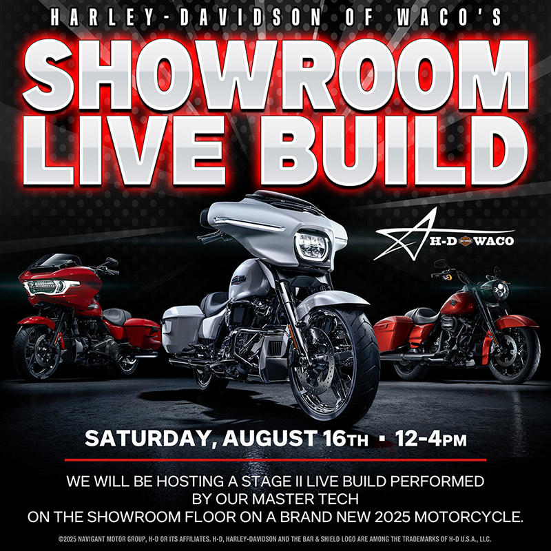 LIVE BUILD