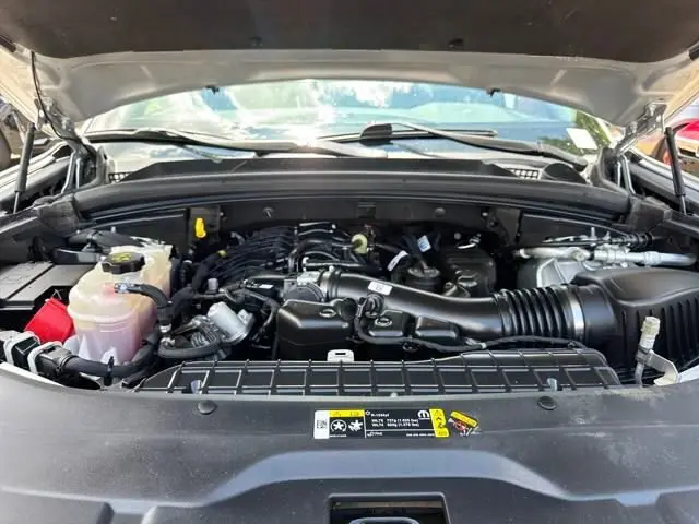 image-19