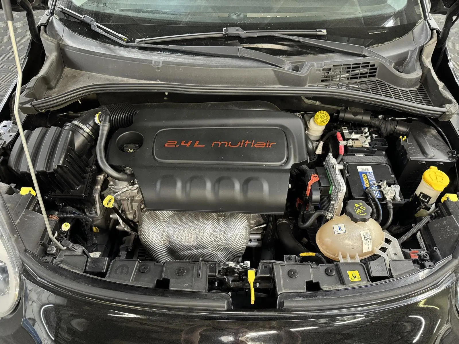 image-7