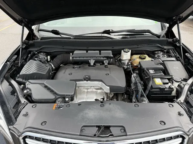 image-19