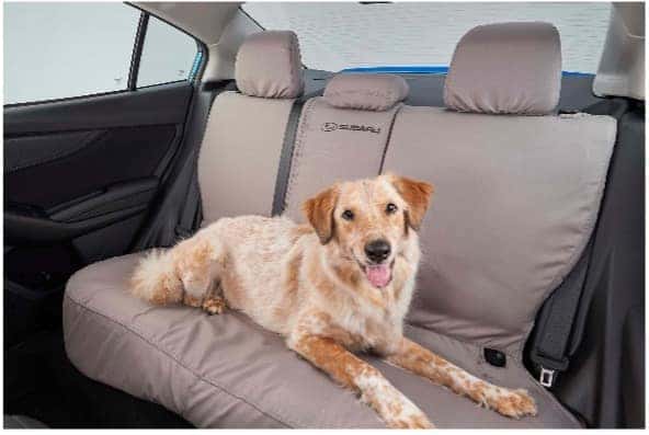 Golden retriever lying on a Subaru rear seat cover