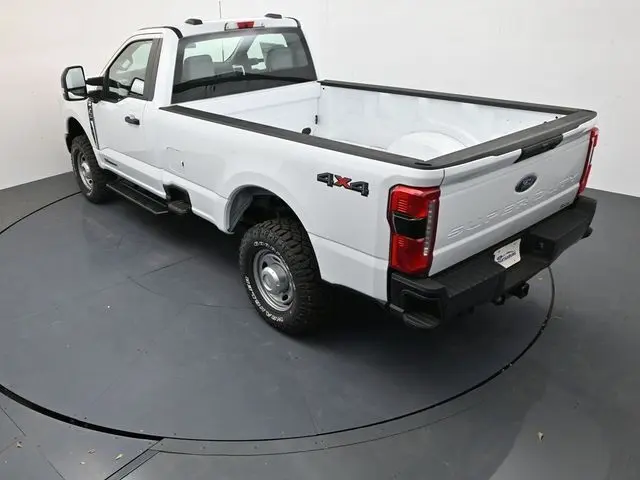 image-19