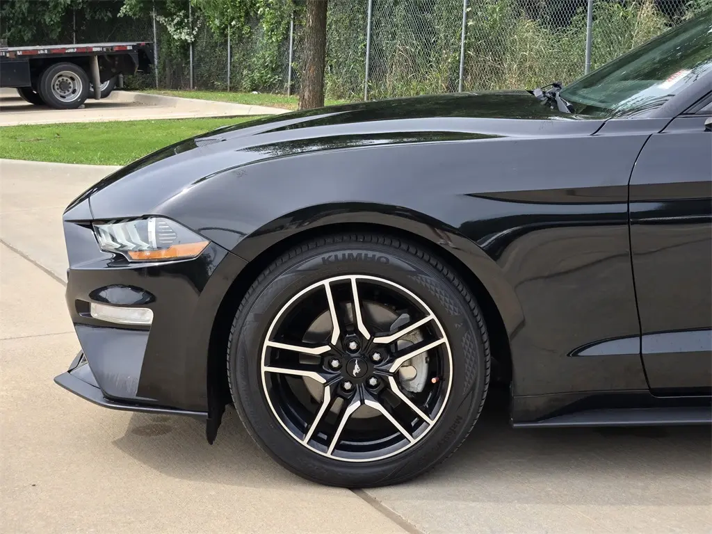 2019 Ford Mustang EcoBoost Premium photo 8