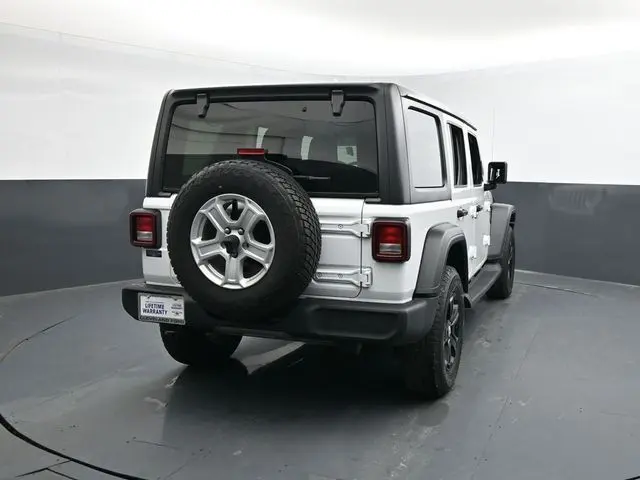 image-7