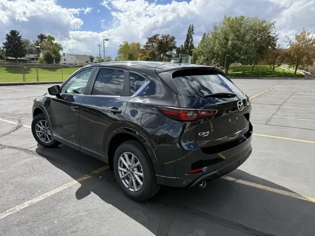 image-4