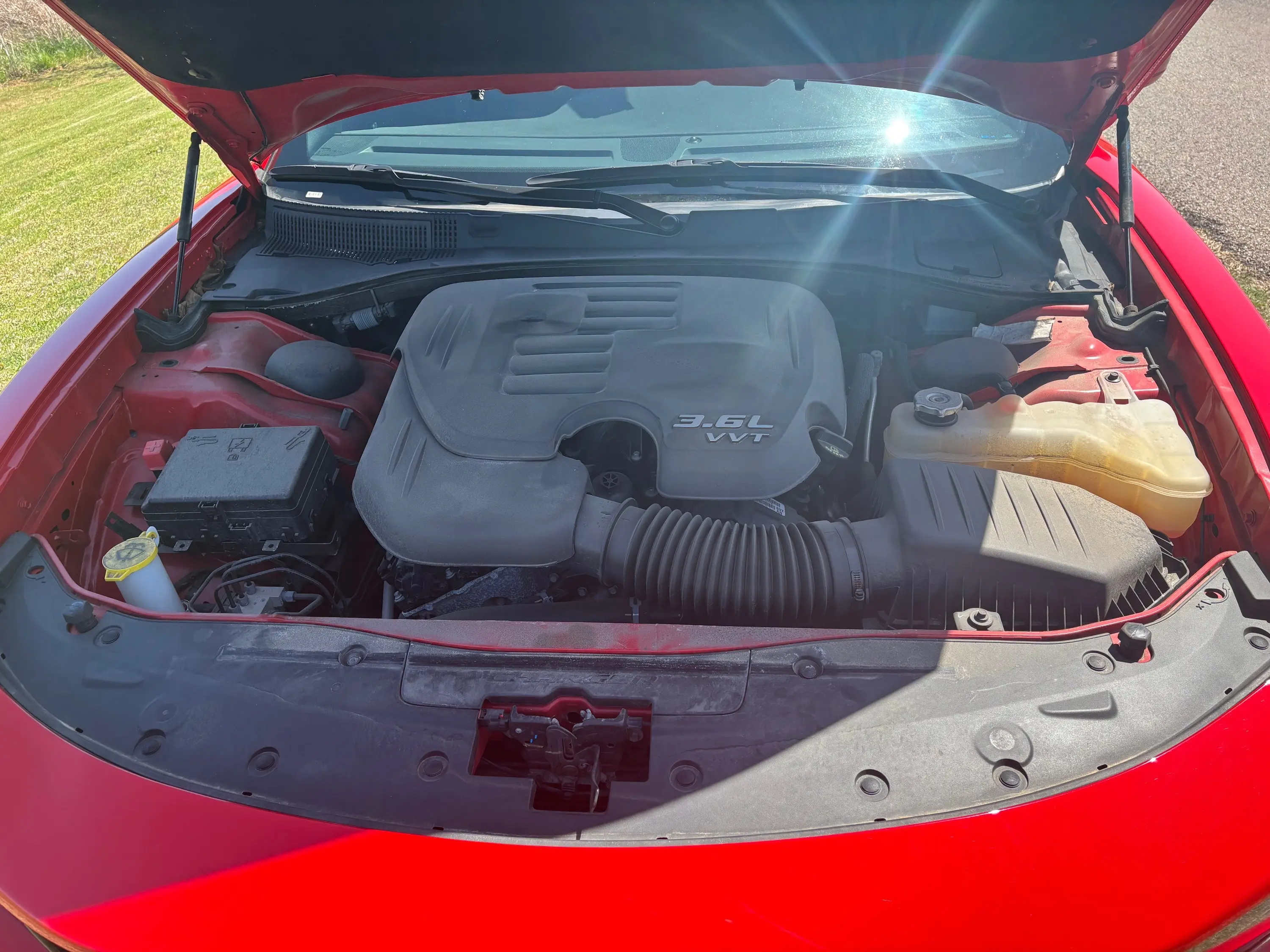 image-12