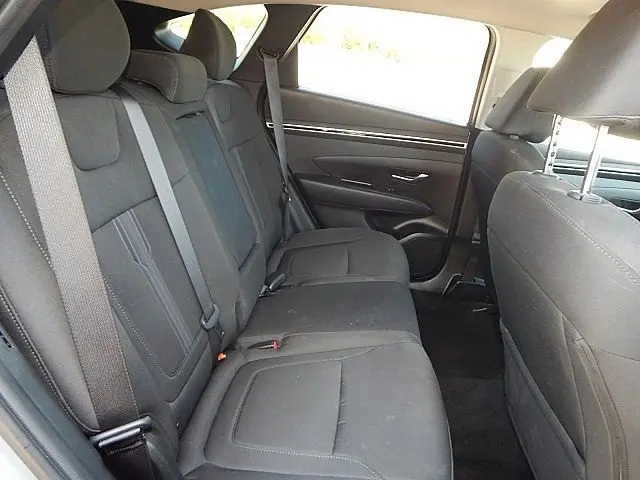 image-19