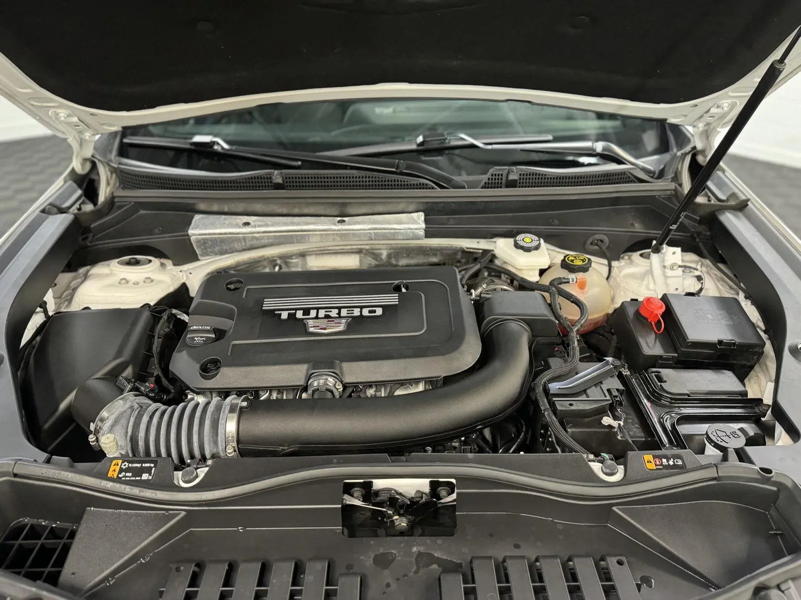 image-10