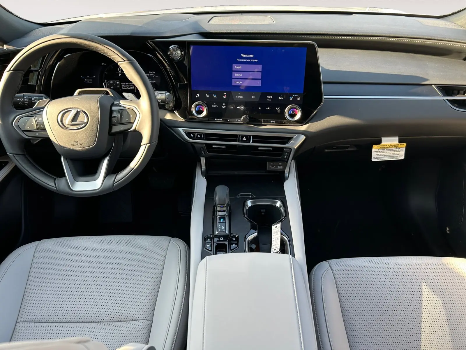 2025 Lexus RX 350 Premium AWD photo 10