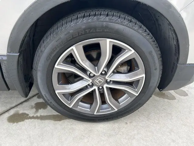 image-11