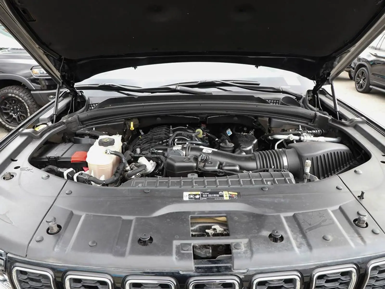 image-7