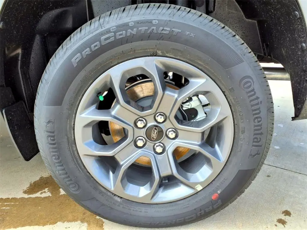 image-19