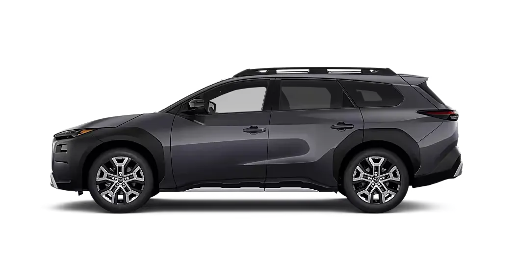 Magnetite Gray Metallic