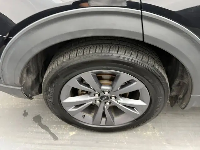 image-19
