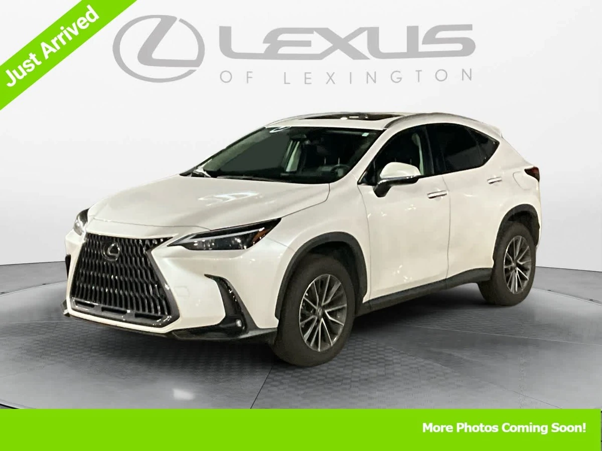 2022 Lexus NX 250's photo