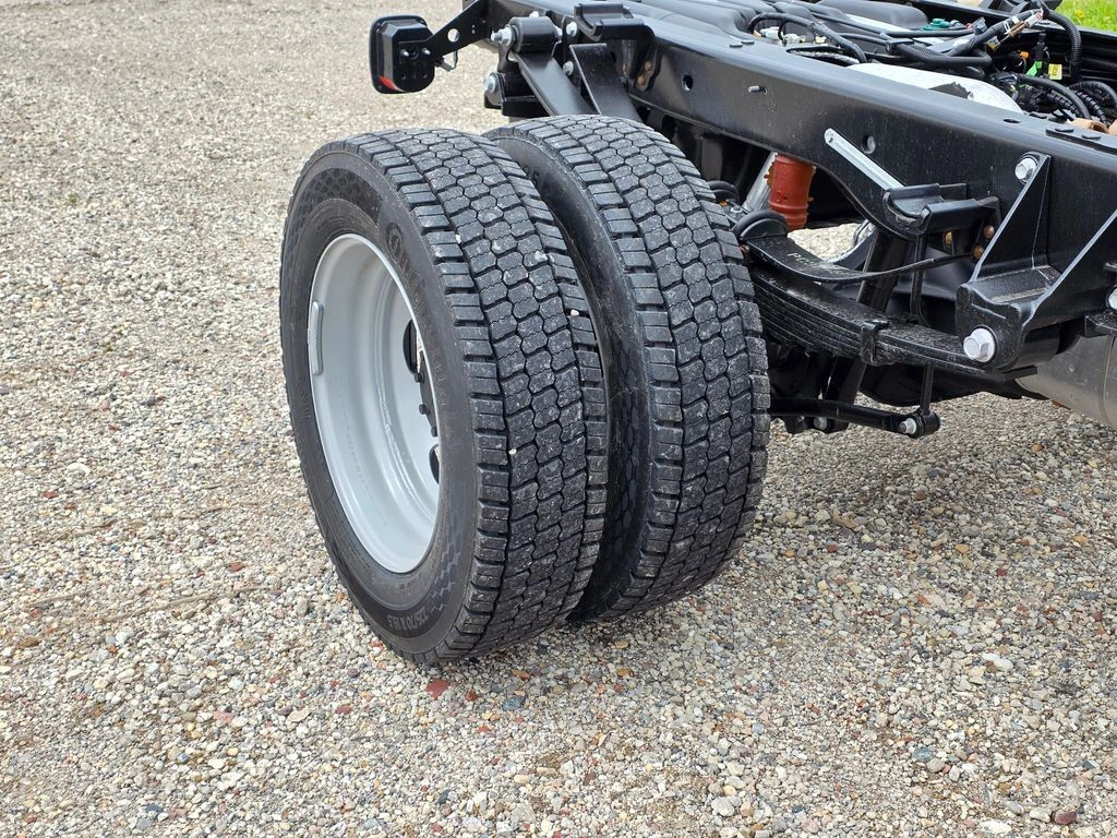 image-10