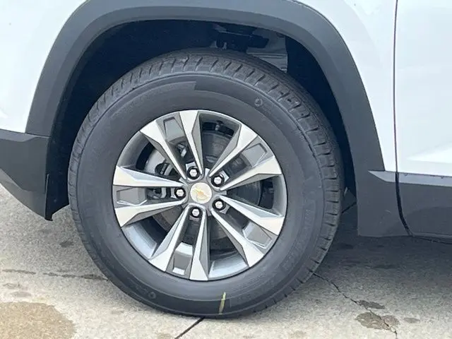 image-7