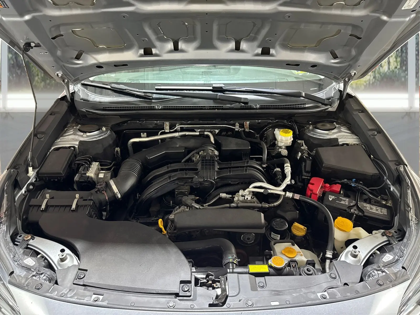 image-19