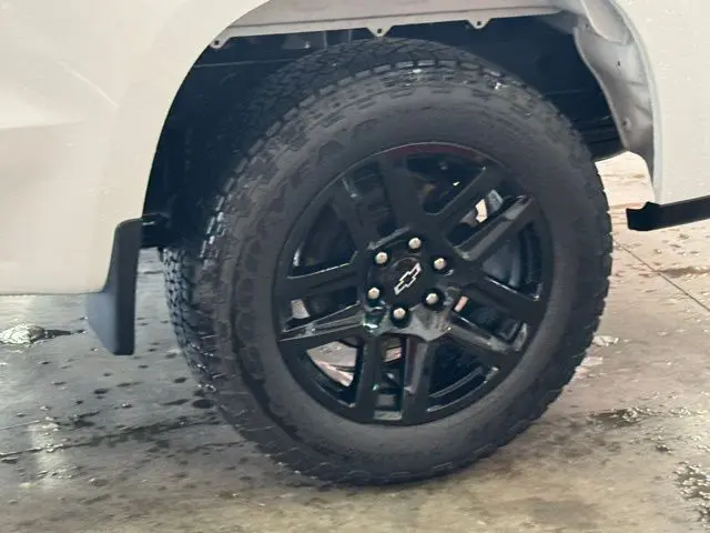 image-7