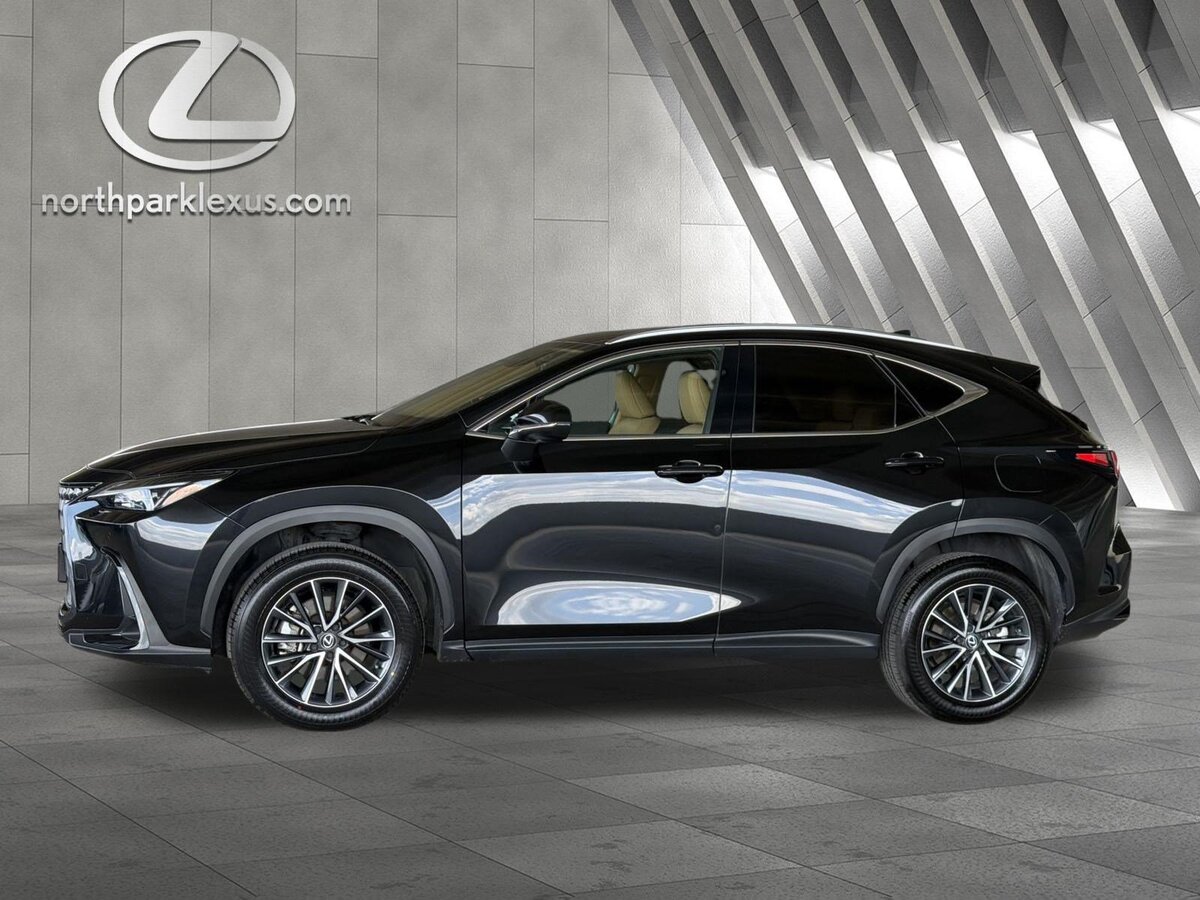2025 Lexus NX 250 Premium