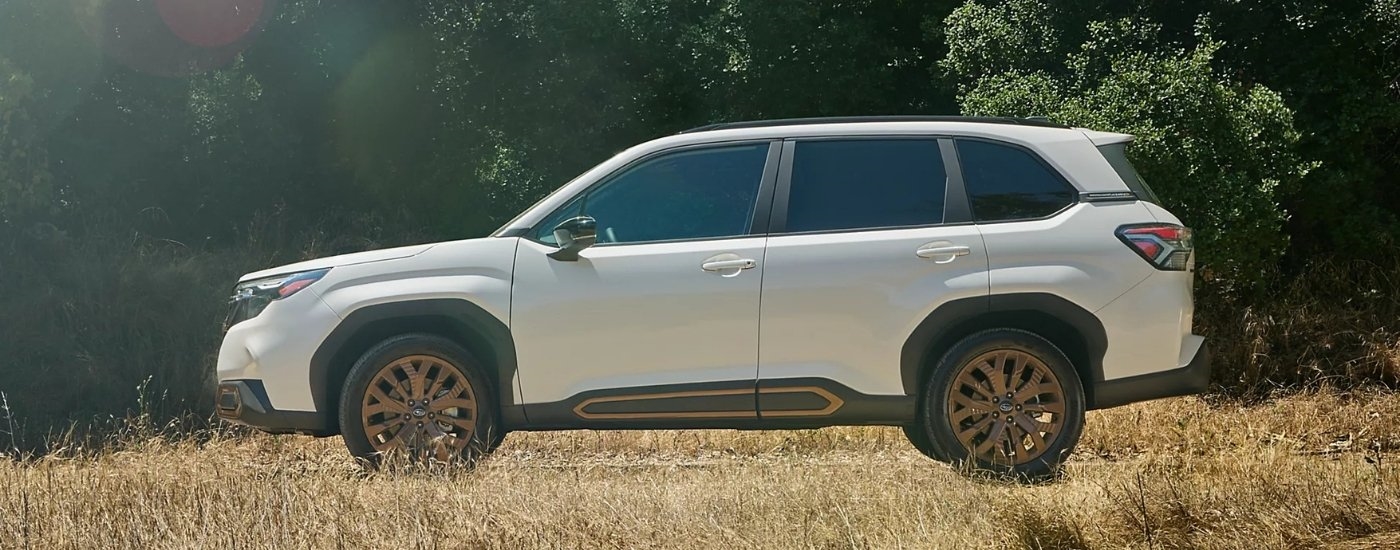 White 2025 Subaru Forester Sport parked in a clearing.
