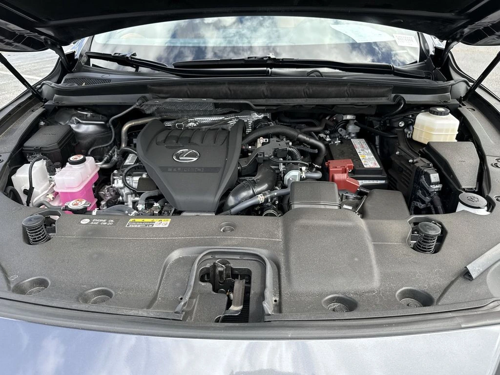image-13
