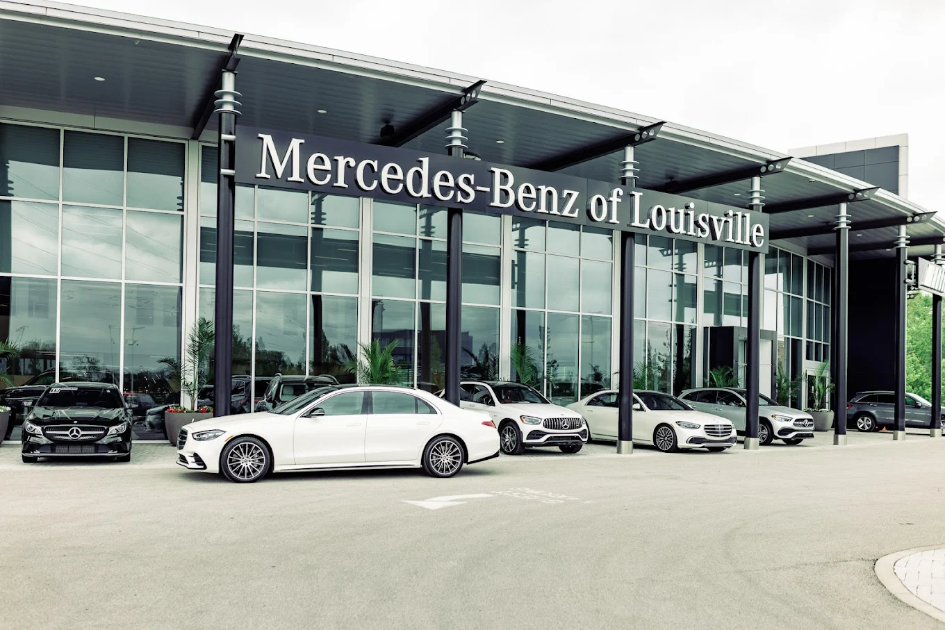 Mercedes-Benz of Louisville