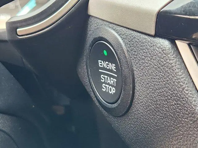 image-19