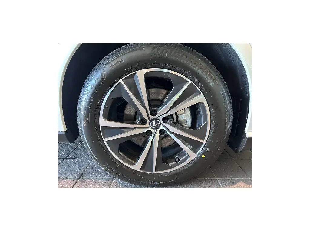 image-7