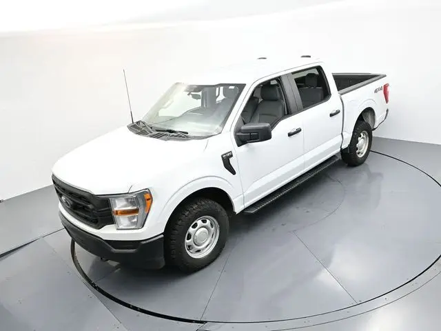 image-19