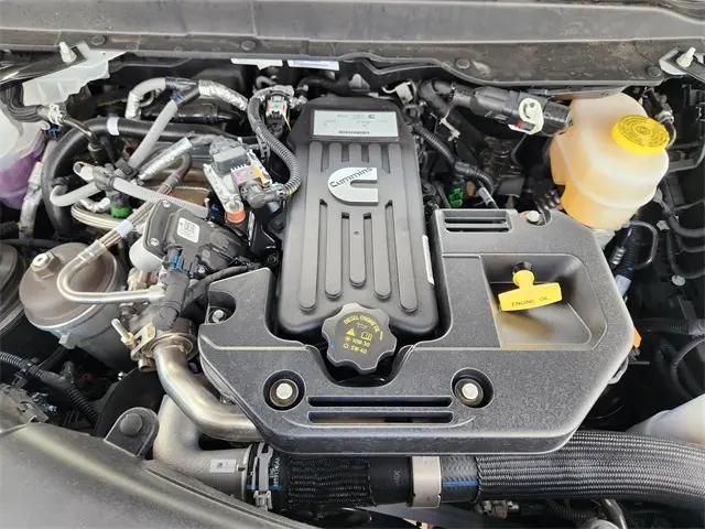 image-19