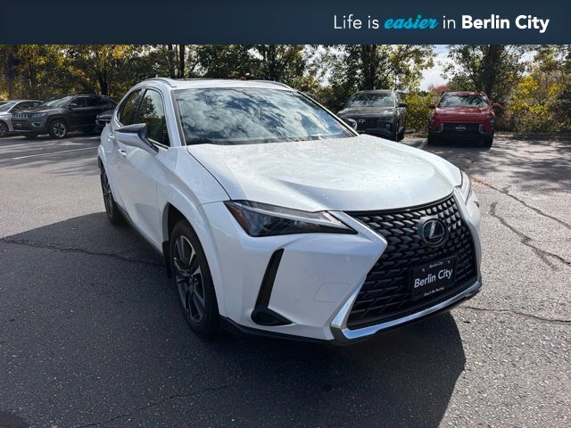 2025 Lexus UX 300h Premium