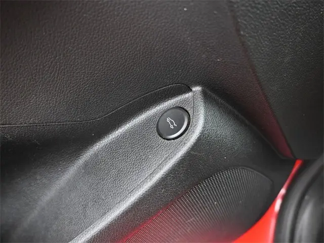 image-19