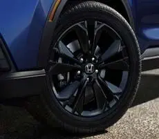 Gloss-Black