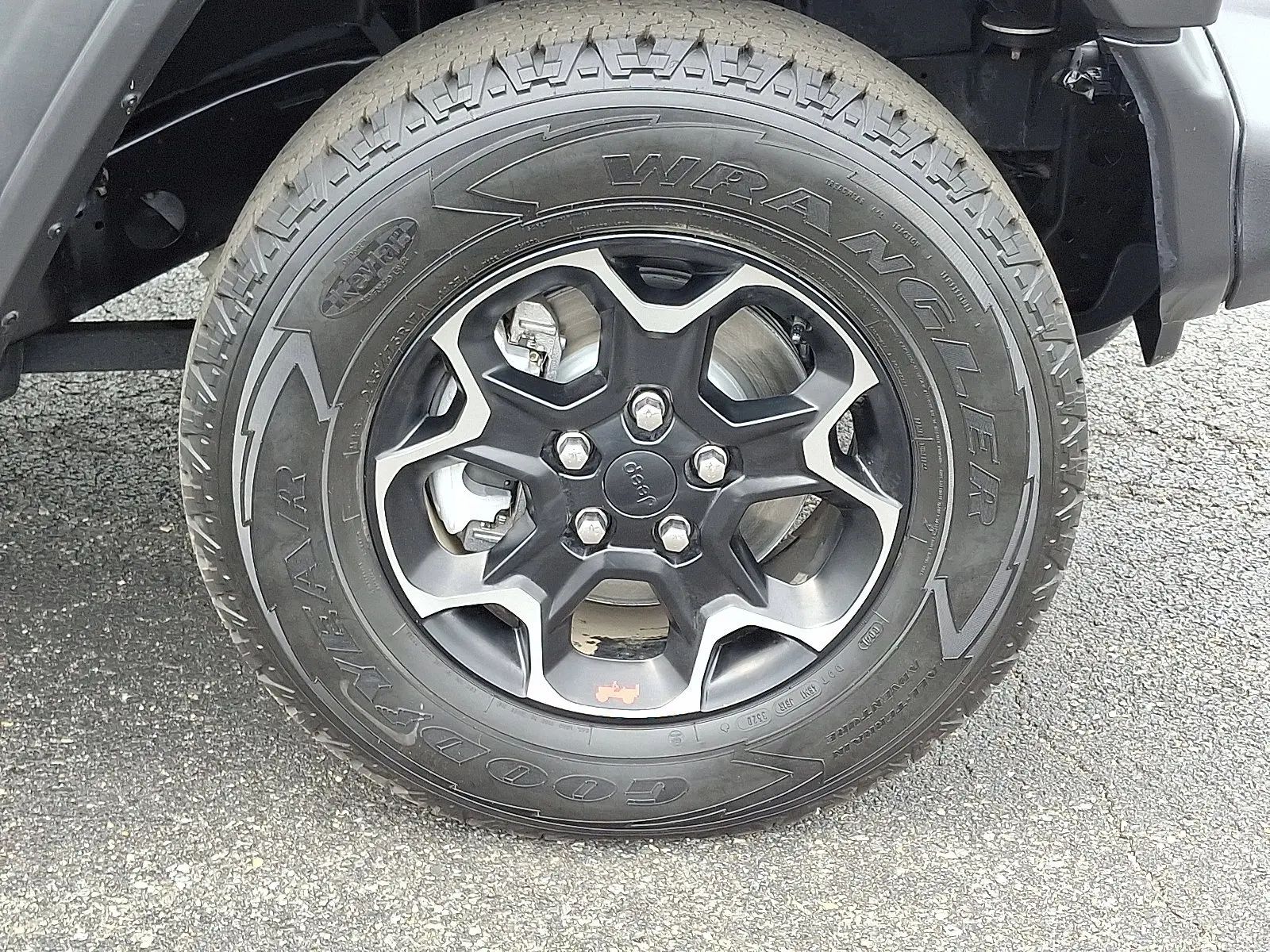 image-7