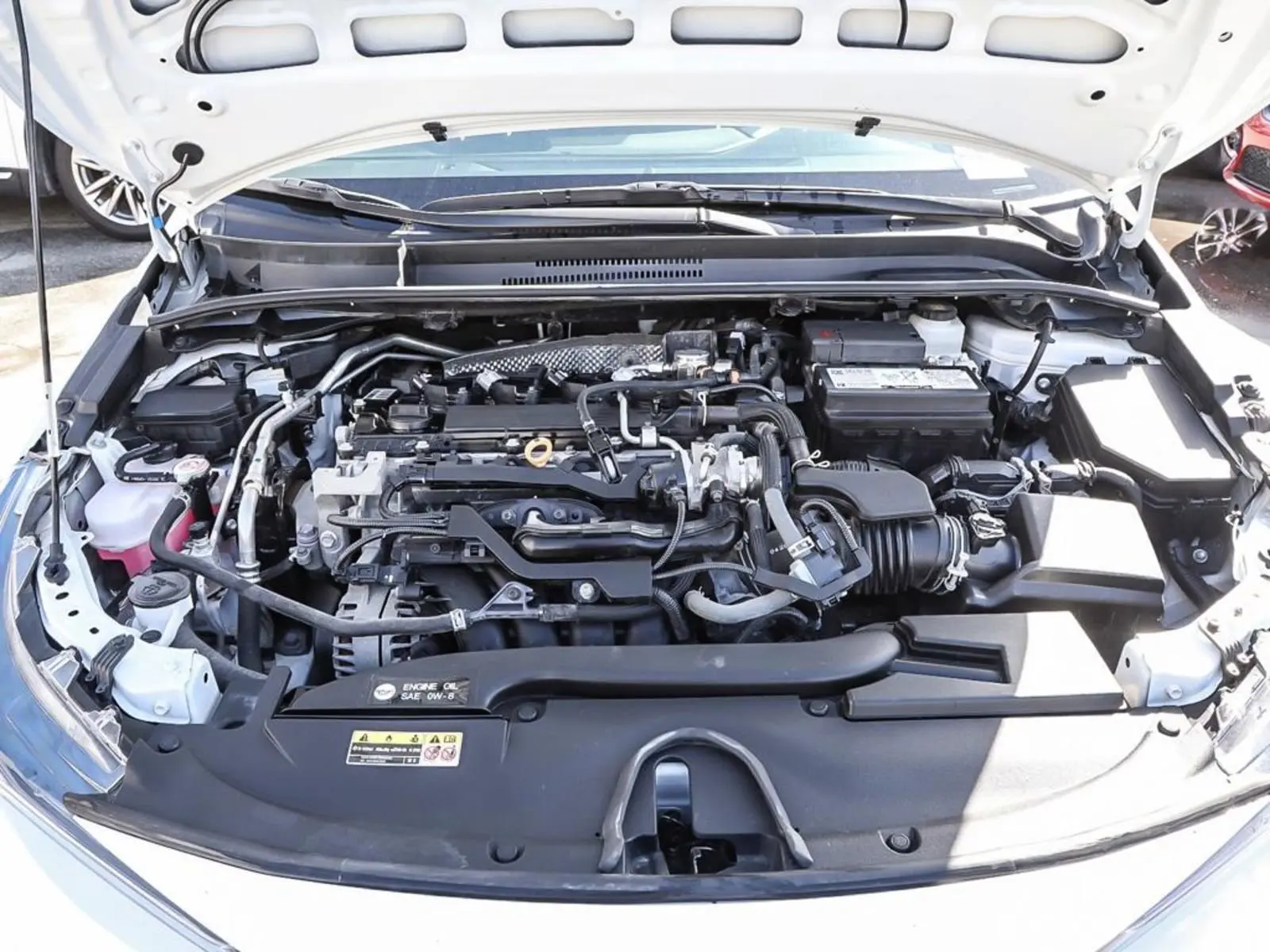 image-7