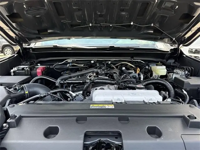 image-19
