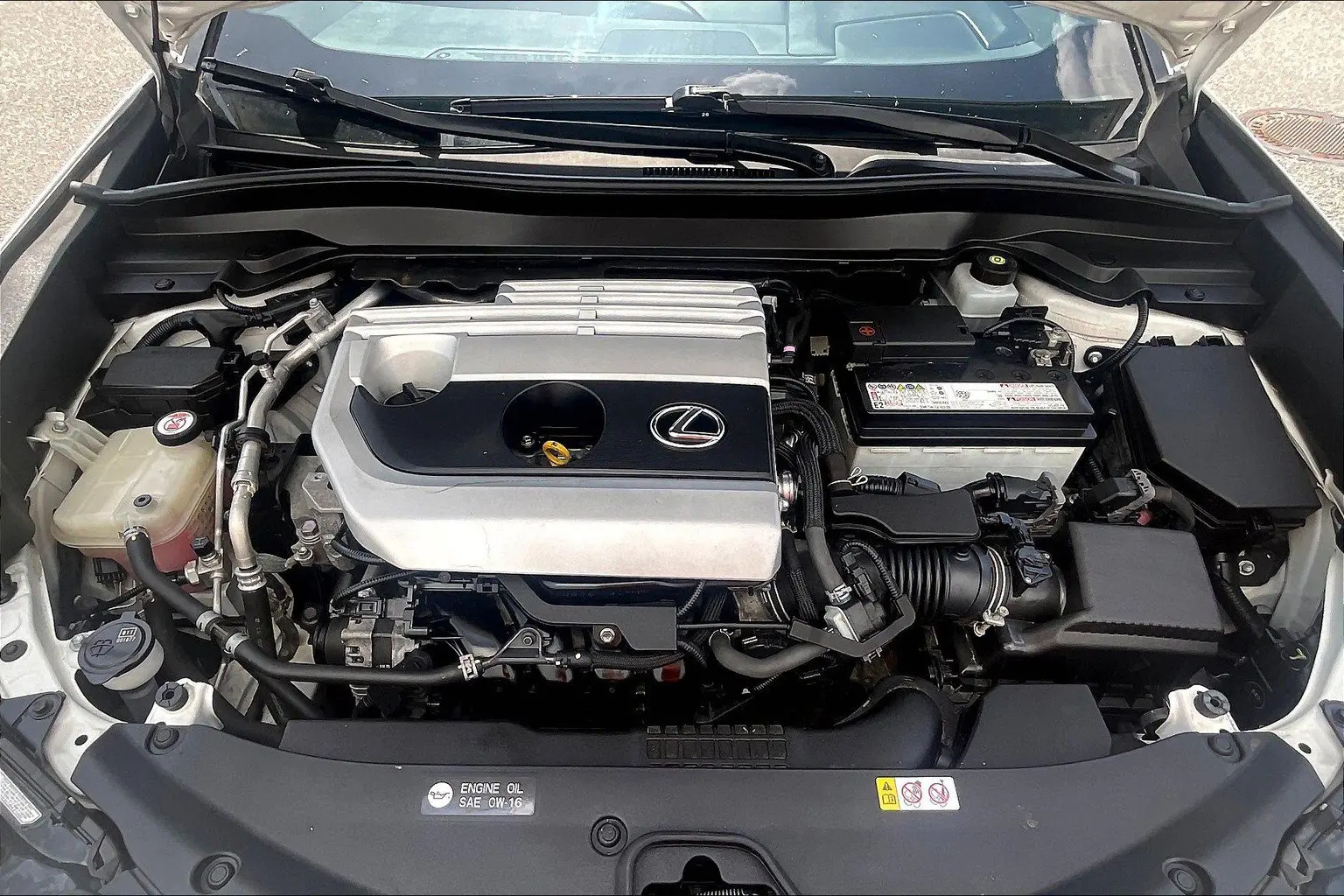 image-12