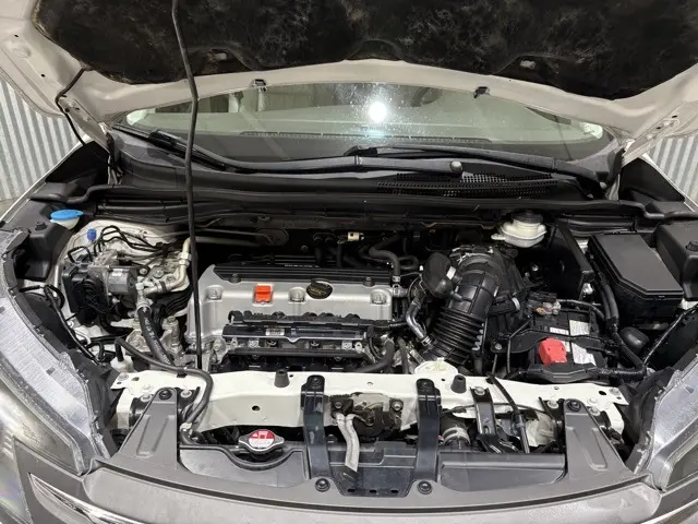 image-7
