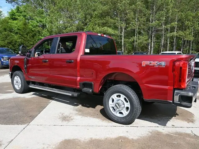 image-7