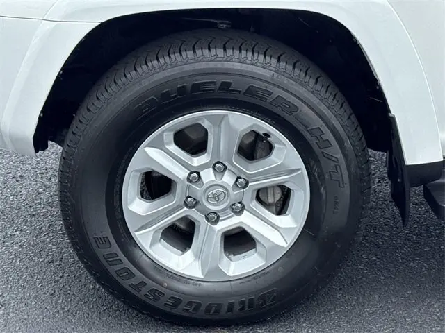 image-19