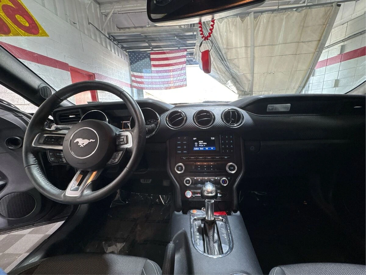 image-19