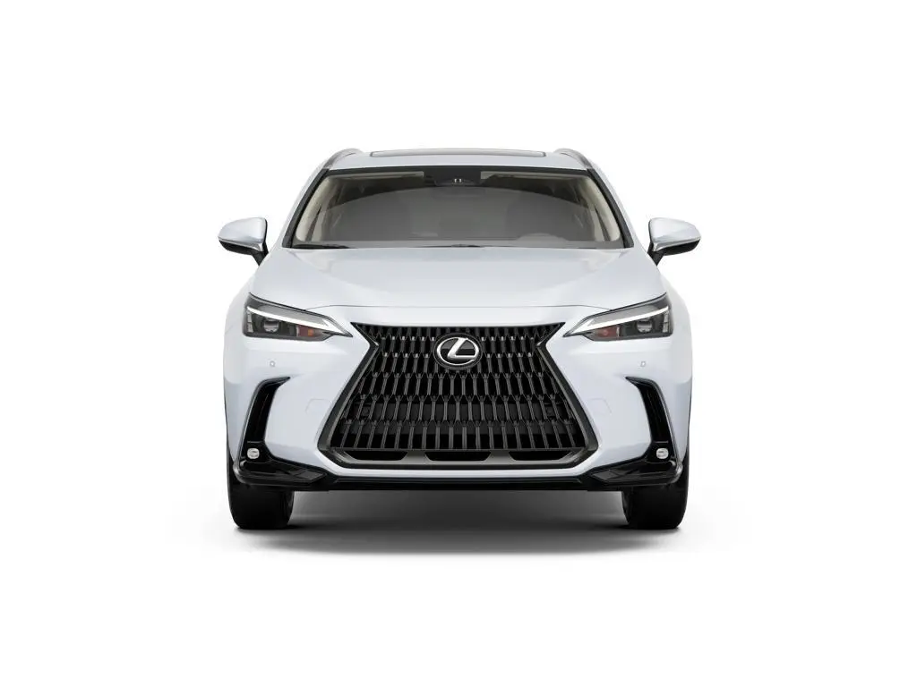 2026 Lexus NX 350h Premium photo 5