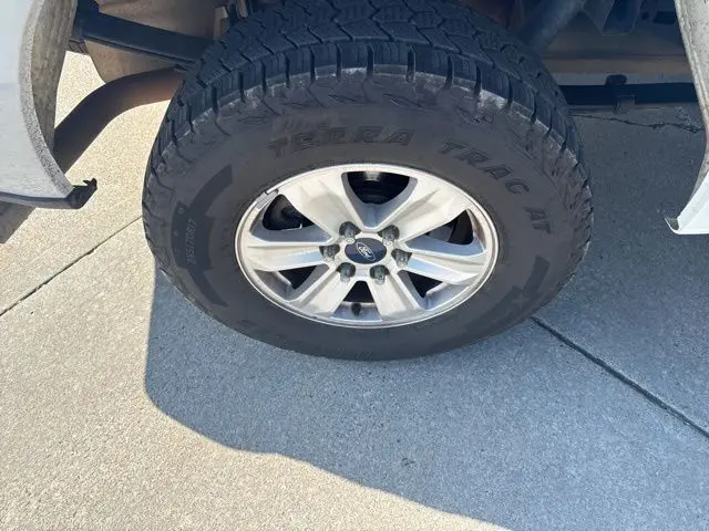 image-7