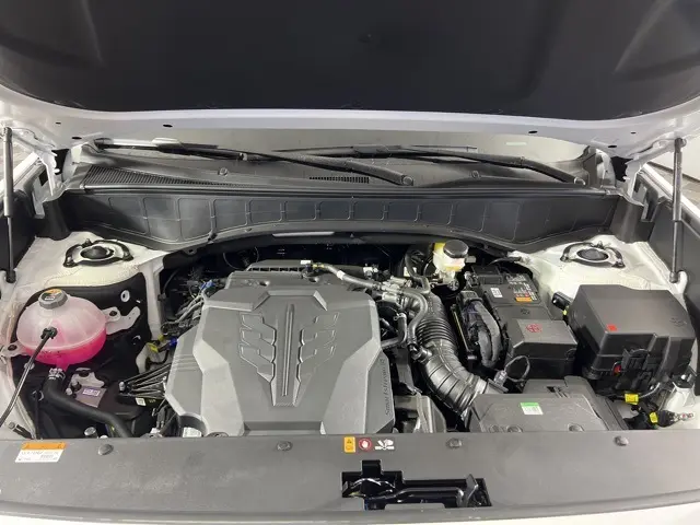 image-2