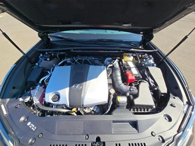 image-11